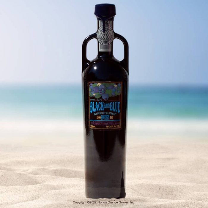 Photo of Black and Blue Port wine bottle